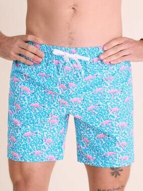 Chubbies The Domingos Are For Flamingos 7” Classic Swim Trunk Medium Lined Beach